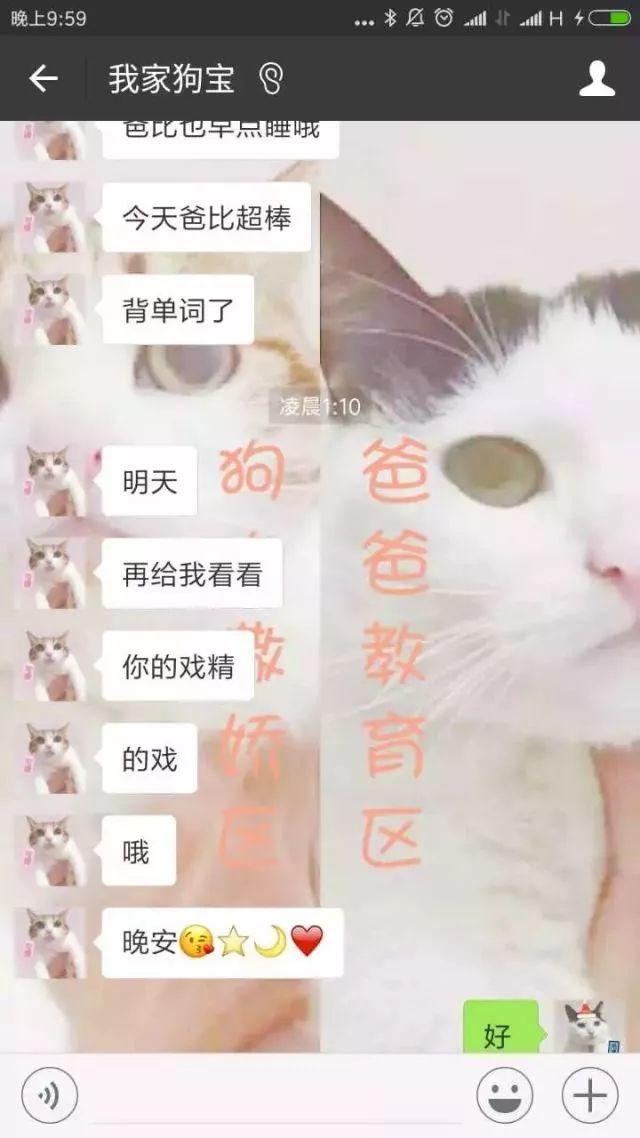 瘾欢字母圈有个“小奶狗”男M是种怎样的体验？