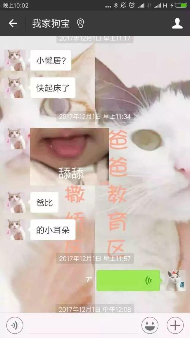 瘾欢字母圈有个“小奶狗”男M是种怎样的体验？