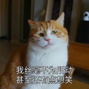 字母圈认真地谈谈BDSM