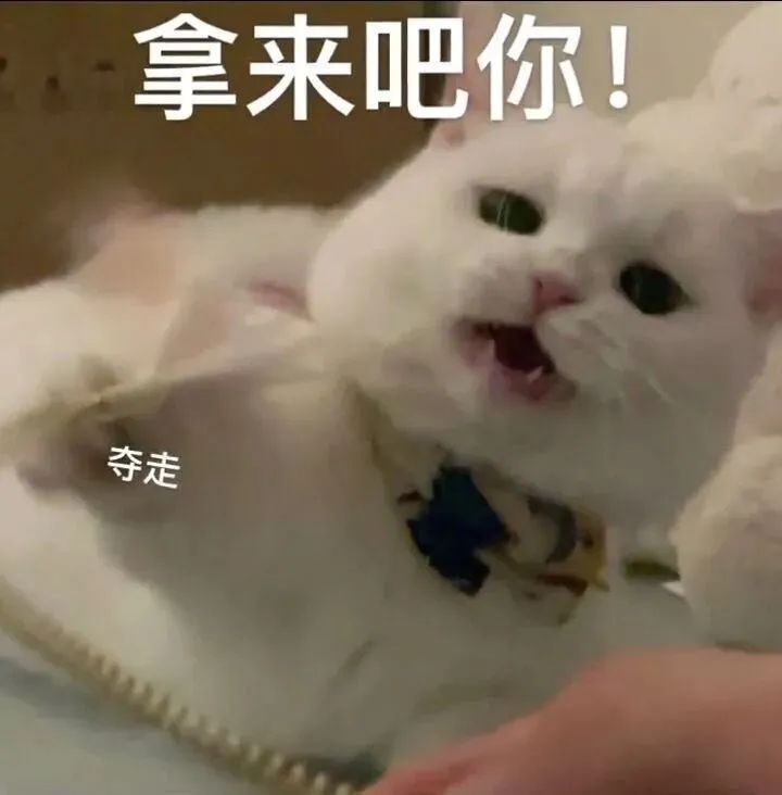 字母圈主人的脚脚只能用来舔嘛? 字母圈主人的脚脚只能用来舔嘛?