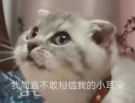 字母圈“我是您的小玩具吗”------bdsm中的“物化”