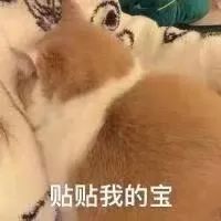 字母圈既想要肮脏粗暴的危险游戏,又想要平等尊重的健康关系 字母圈既想要肮脏粗暴的危险游戏,又想要平等尊重的健康关系