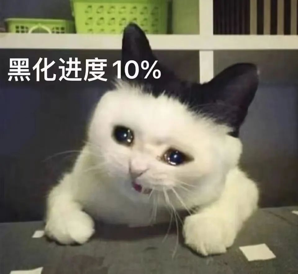 字母圈既想要肮脏粗暴的危险游戏,又想要平等尊重的健康关系 字母圈既想要肮脏粗暴的危险游戏,又想要平等尊重的健康关系